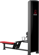 Atlantis Precision Low Row